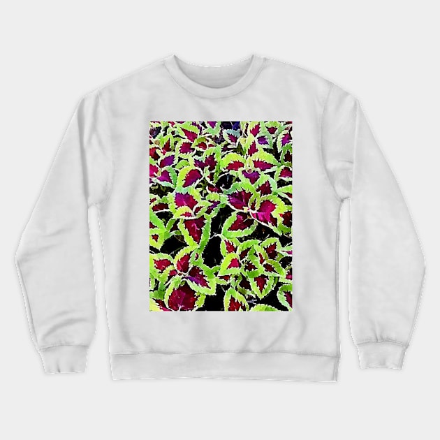 coleus leaves pattern Crewneck Sweatshirt by Banyu_Urip